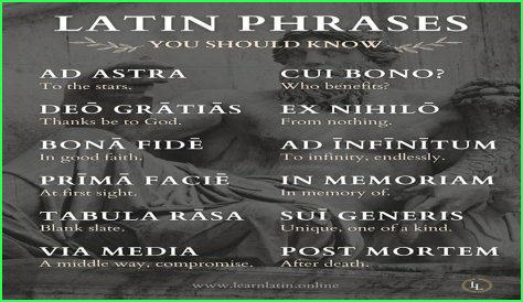 A Profile Of A Latin Beauty