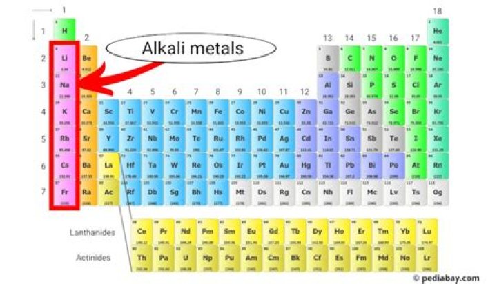 Are alkali metals shiny or dull?