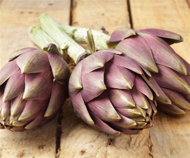 Are artichokes Evergreen? | ContextResponse.com
