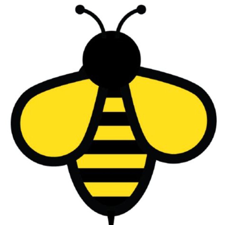 Are bees primary consumers?