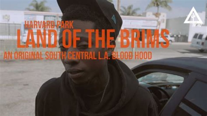 Are brims Bloods?