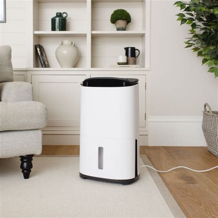 Are dehumidifiers better in summer or winter?
