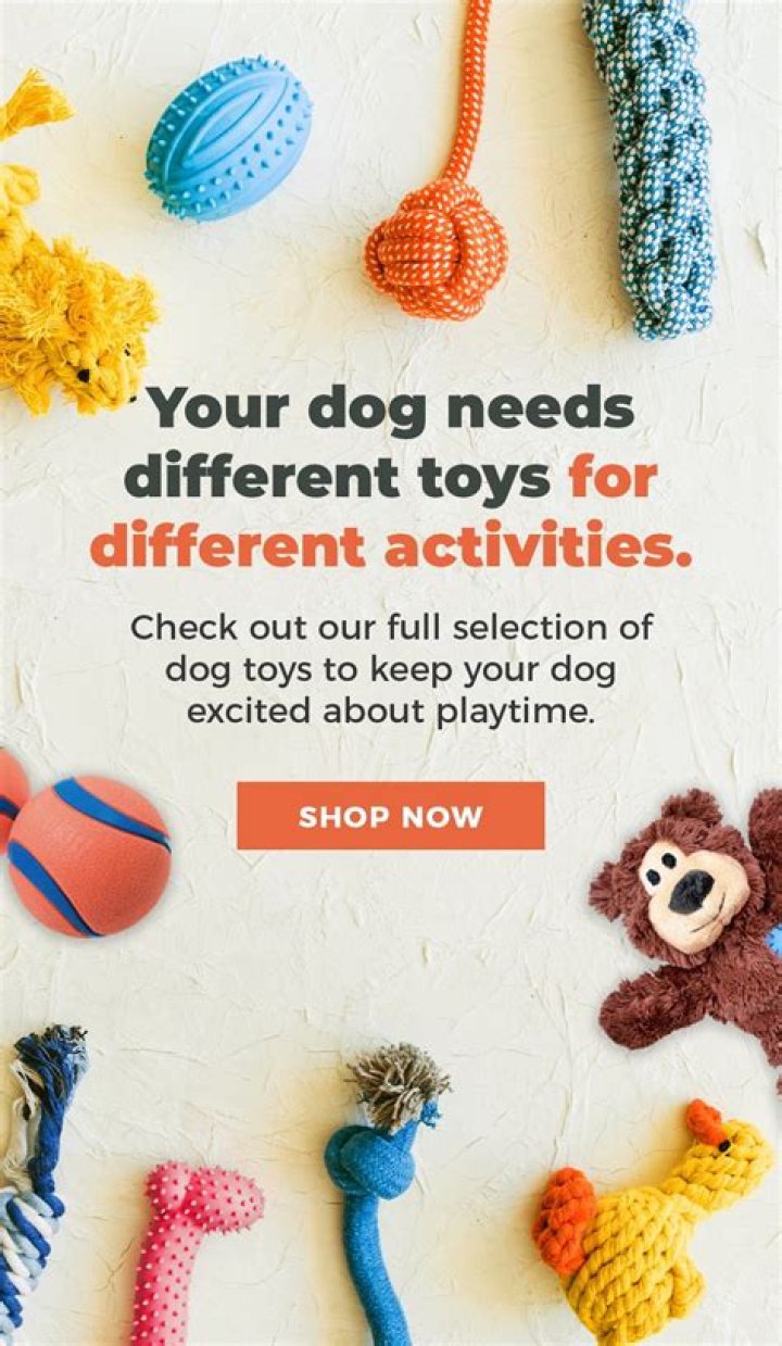 Are dog toys safe for babies?
