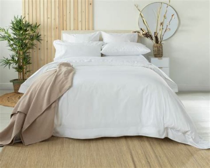 Are Egyptian cotton sheets the best?
