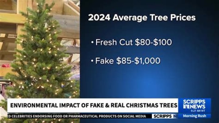 Are Fake trees recyclable? | ContextResponse.com