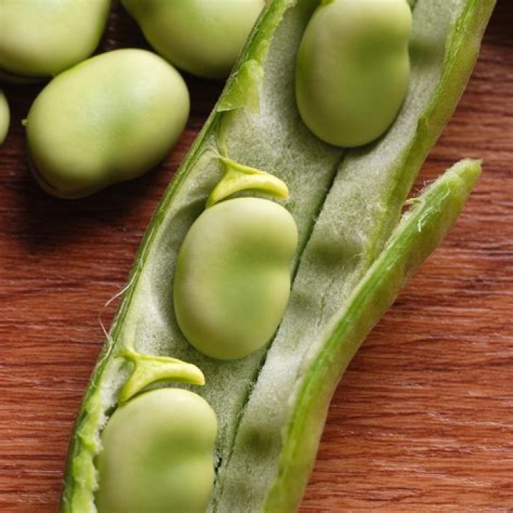 Are fava beans edamame? | ContextResponse.com