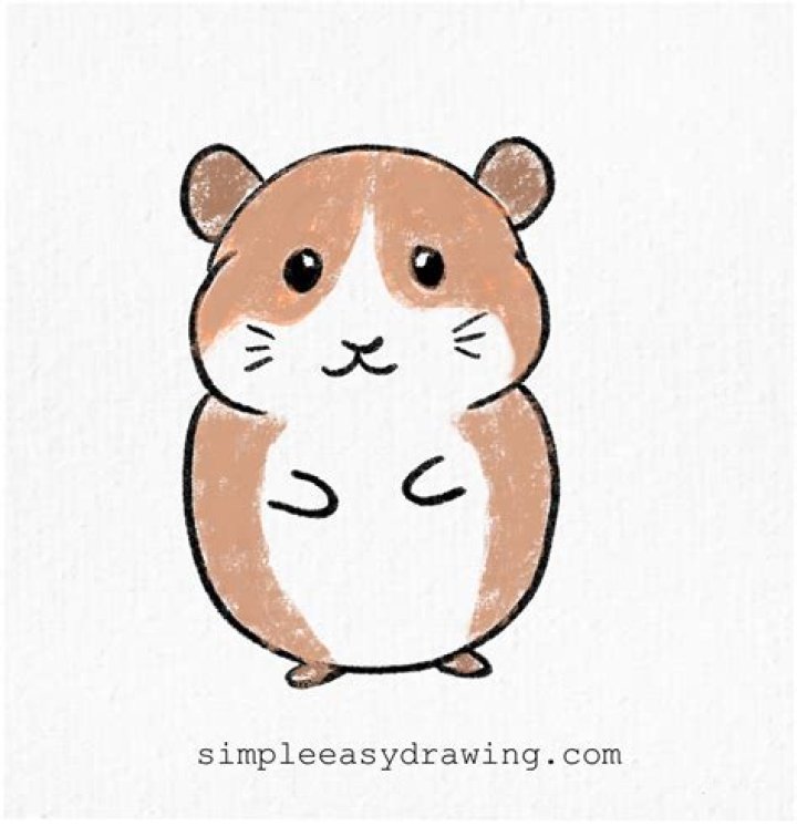 Are hamster easy to take care of?