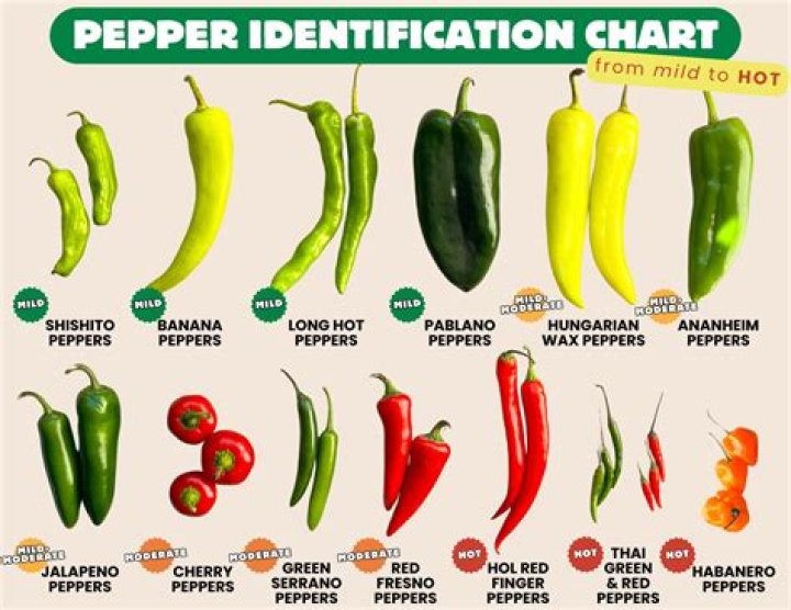 Are Hot Peppers self pollinating?