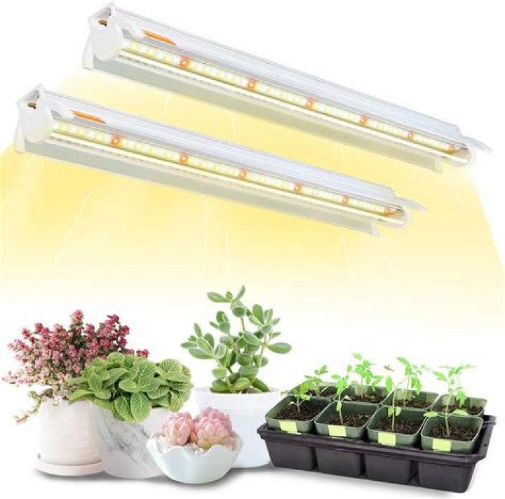 Are LED lights good for growing seedlings?