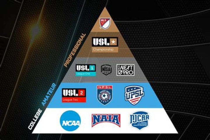 Are National League teams professional?