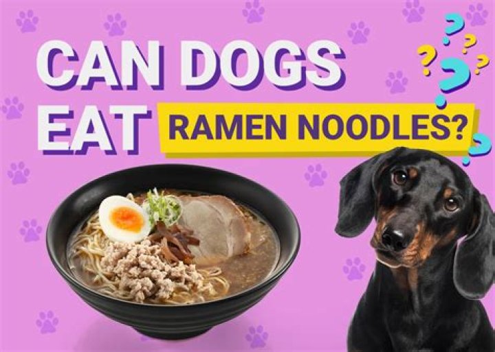 Are noodles bad dogs?