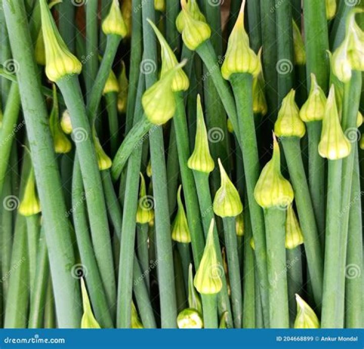 Are onion leaves edible?