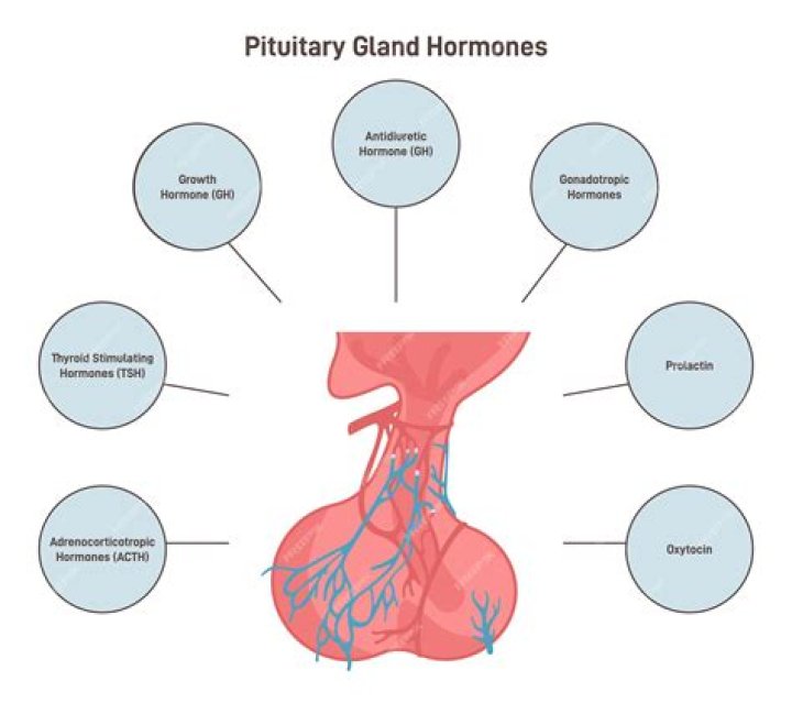 Are prohormones as strong as steroids?