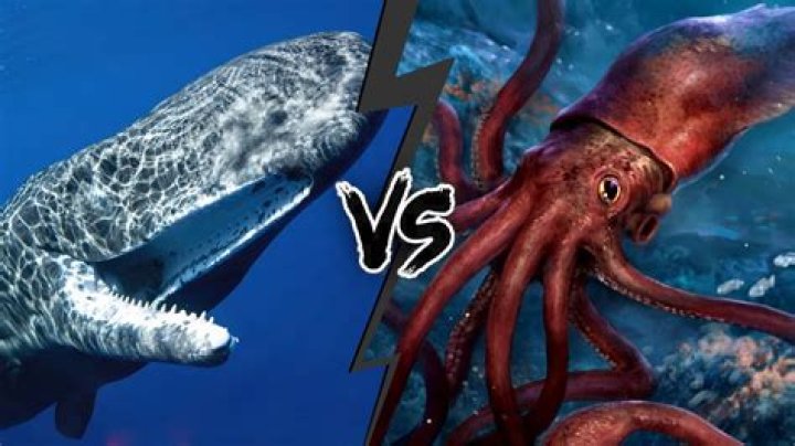Are squid and calamari the same thing?
