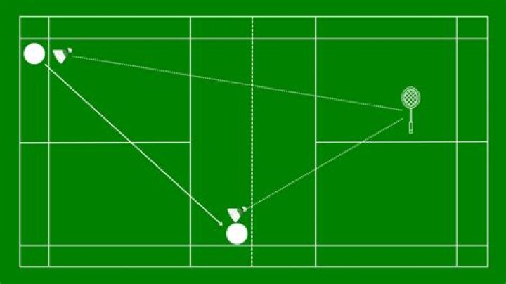 Are the lines in or out in badminton?