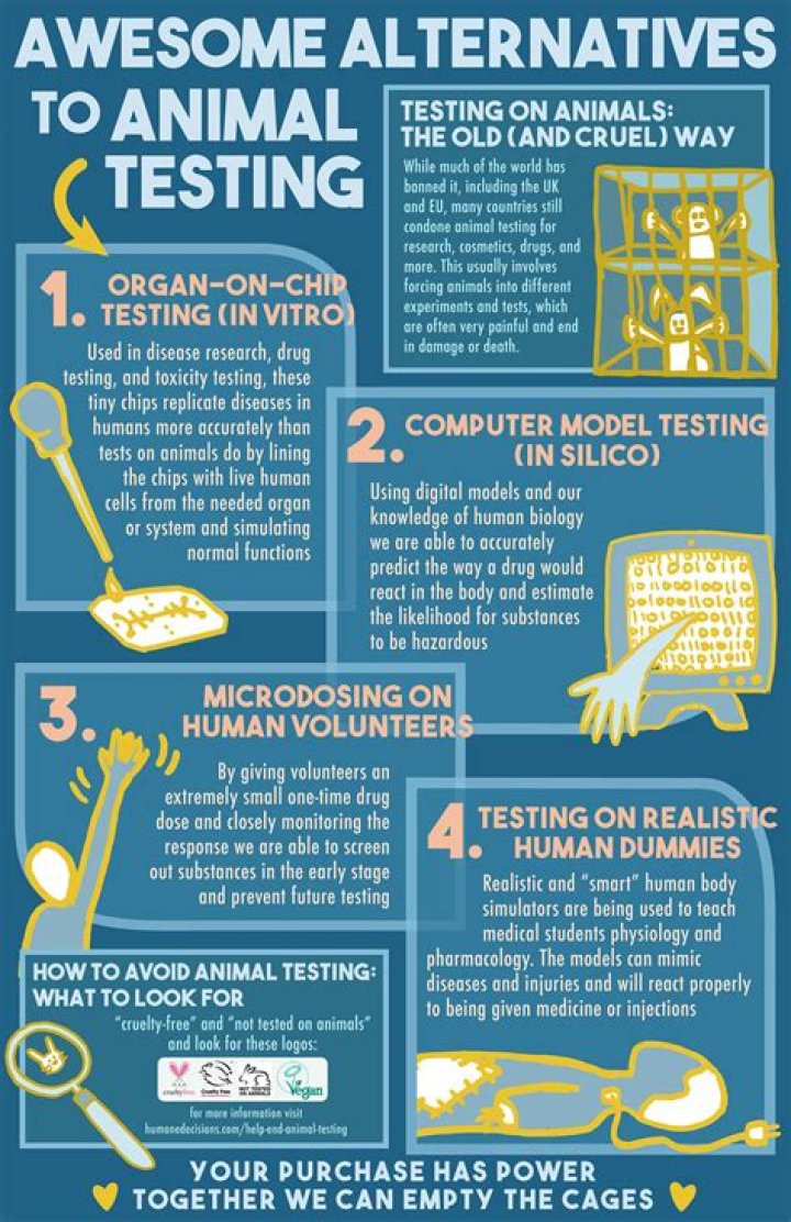 Are there alternatives to animal testing?