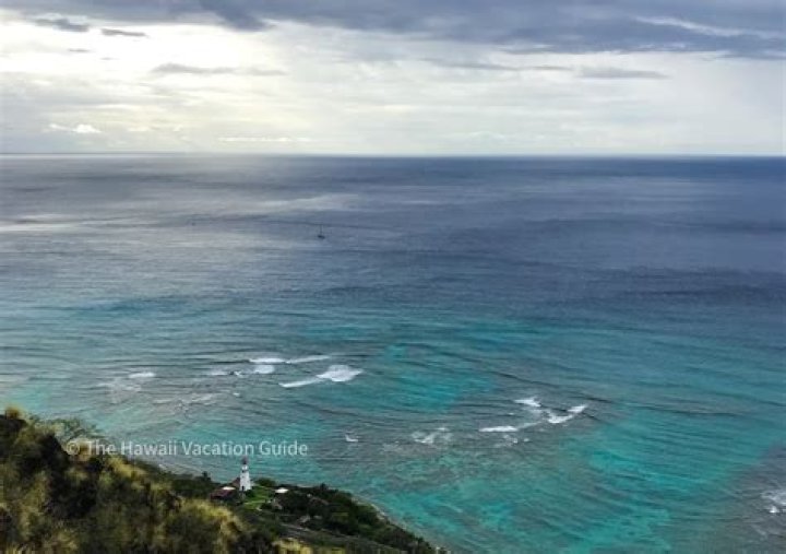 Are there dandelions in Hawaii?