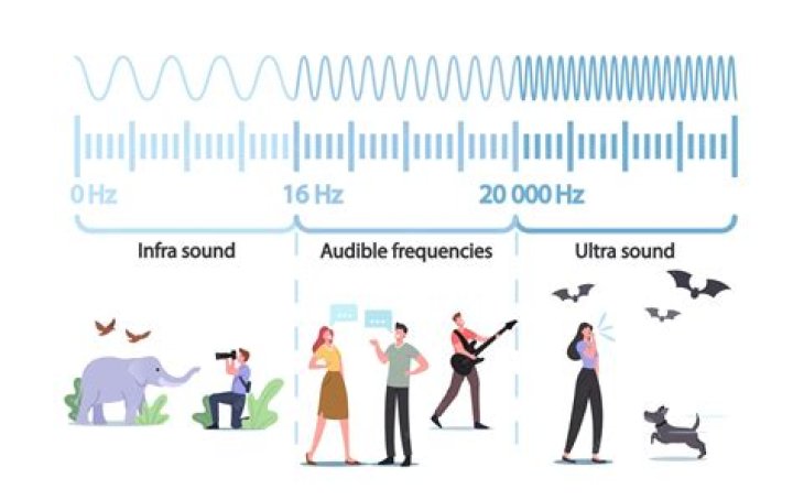 Are there different levels of audible membership?