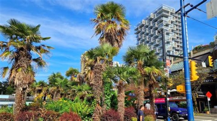 Are there palm trees in Victoria BC?