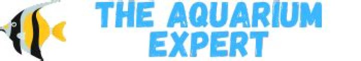 Are UV filters good for aquariums?