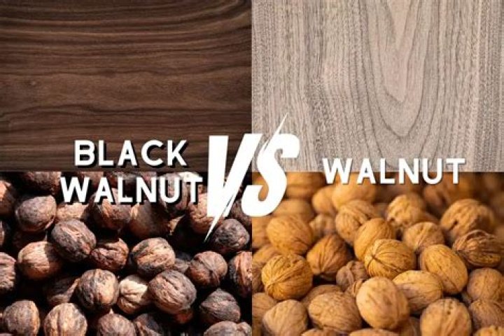 Are walnuts considered fiber? | ContextResponse.com