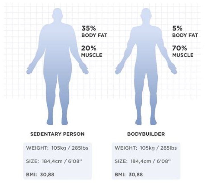 At what body fat do your abs show?
