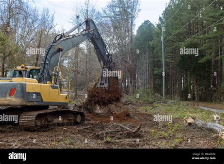 Can a backhoe remove tree stumps?