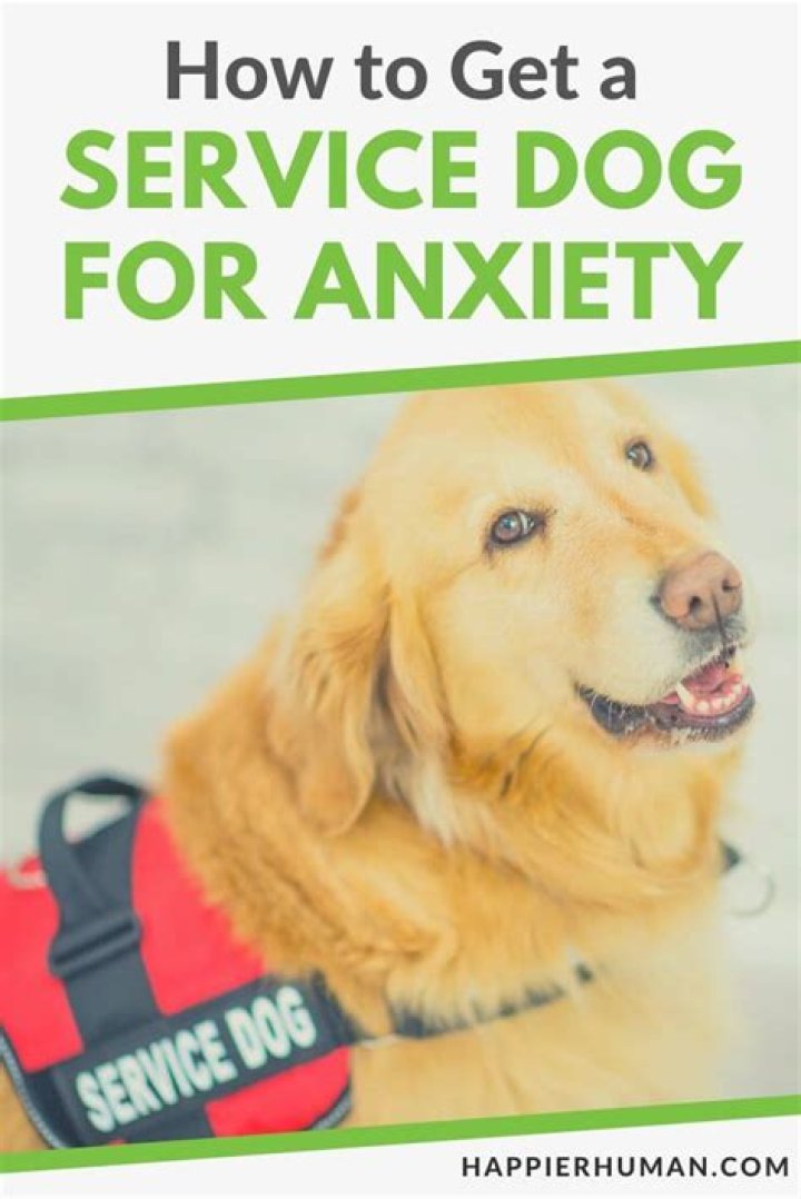 Can a child with autism get a service dog?