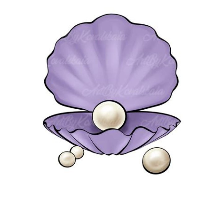 Can a clam live without its shell?