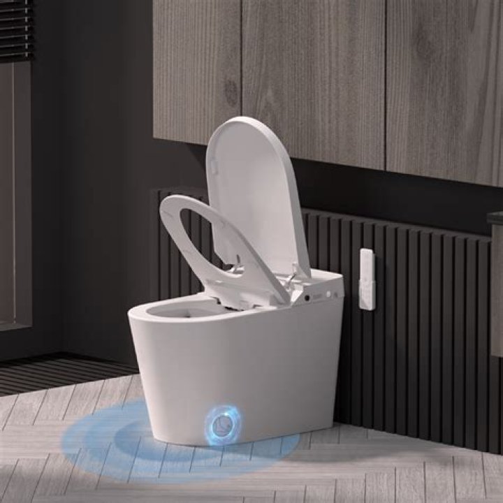 Can a toilet backup into a shower?