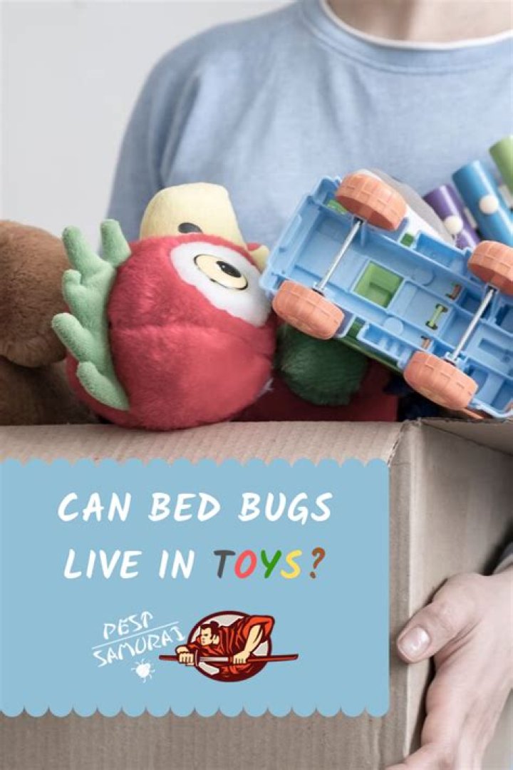 Can bed bugs live in toys?