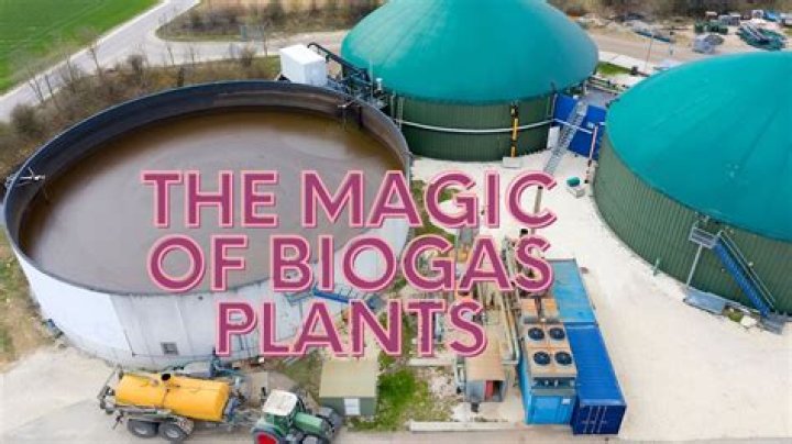 Can cars run on biogas?
