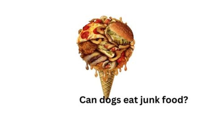 Can dogs eat junk food?