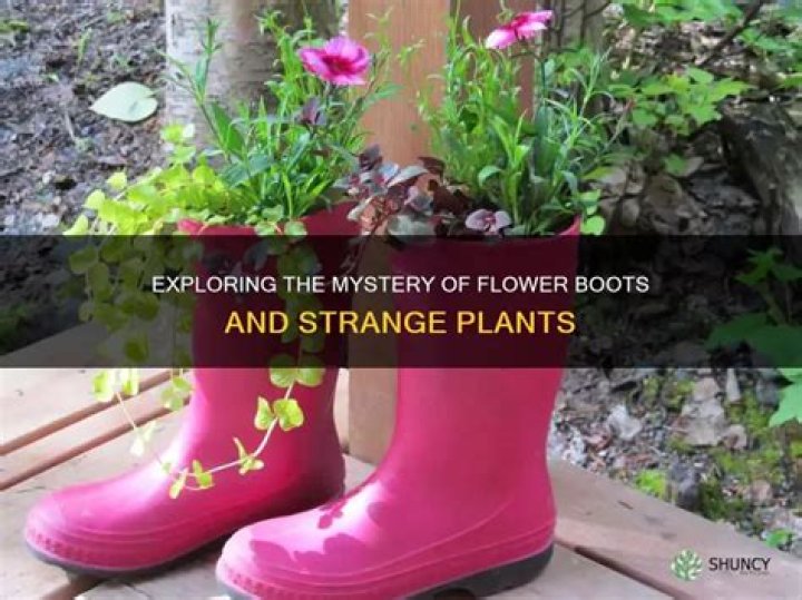 Can flower boots spawn strange plants?