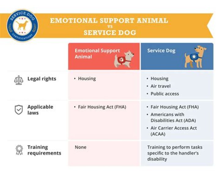 Can I adopt an emotional support dog?