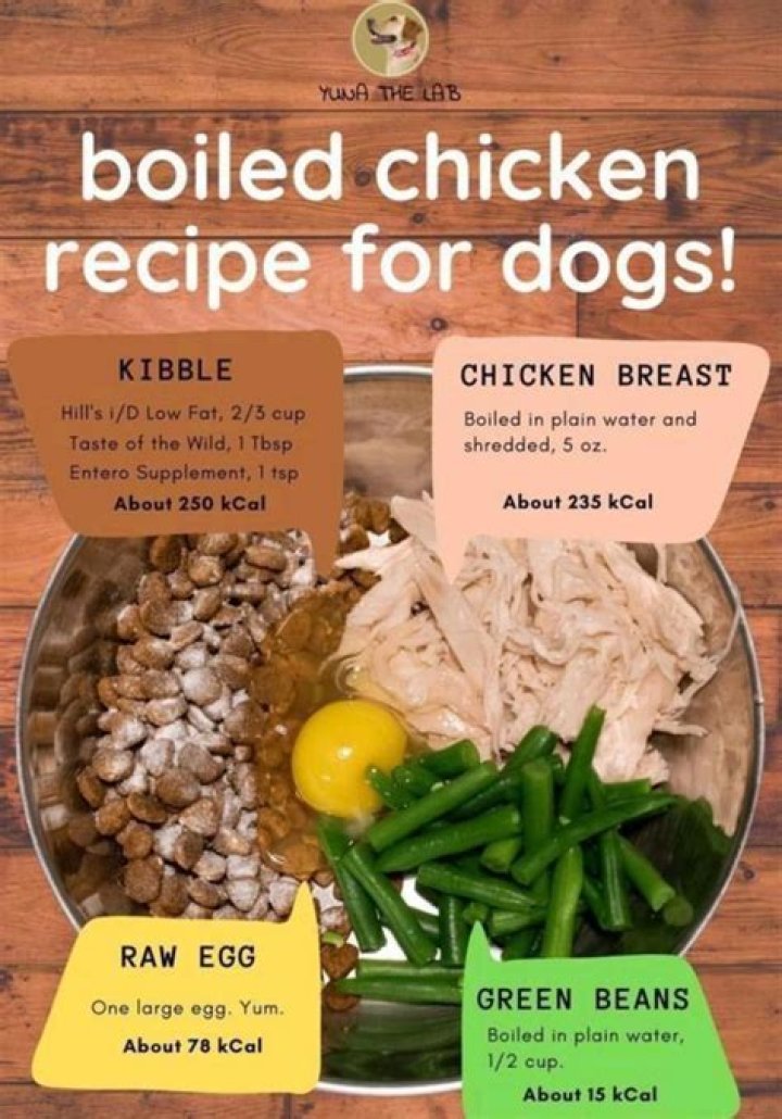Can I boil chicken for my dog?