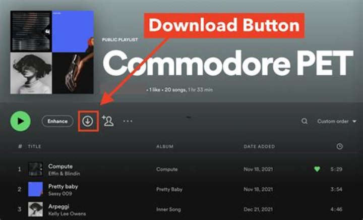 Can I download a song from Spotify to my computer?