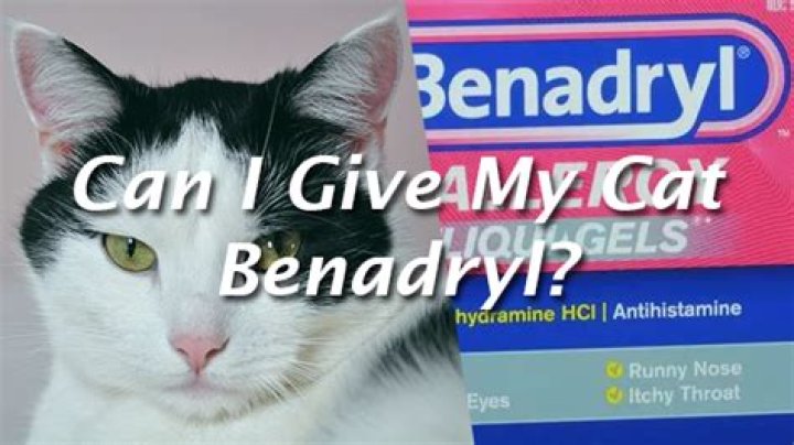 Can I give my cat Benadryl for itching?