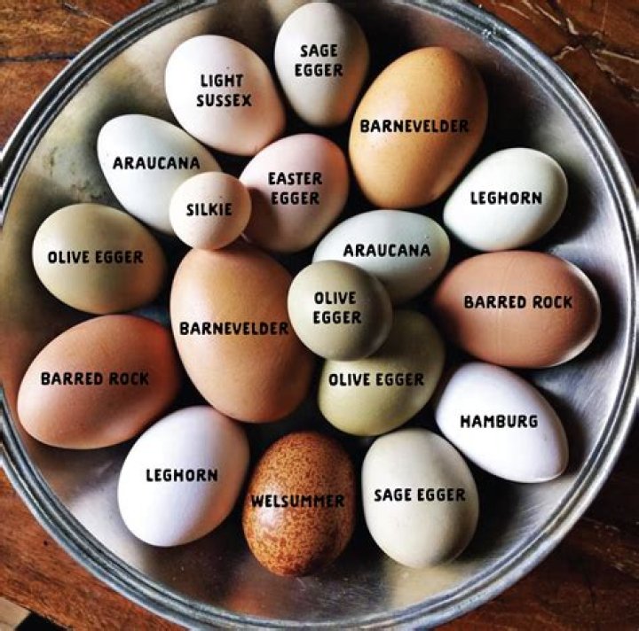 Can I hatch eggs from the supermarket?