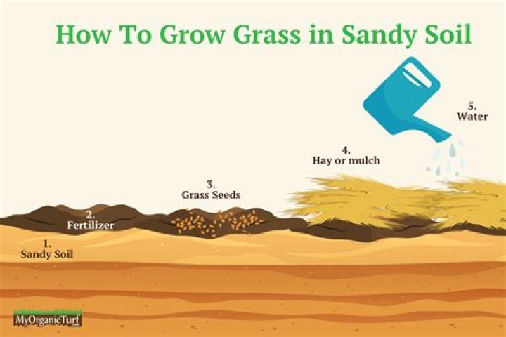Can I put down grass seed in winter?