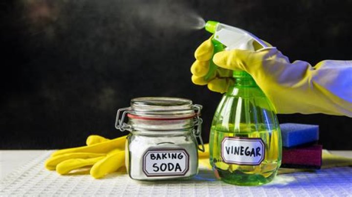 Can I spray white vinegar on my plants?