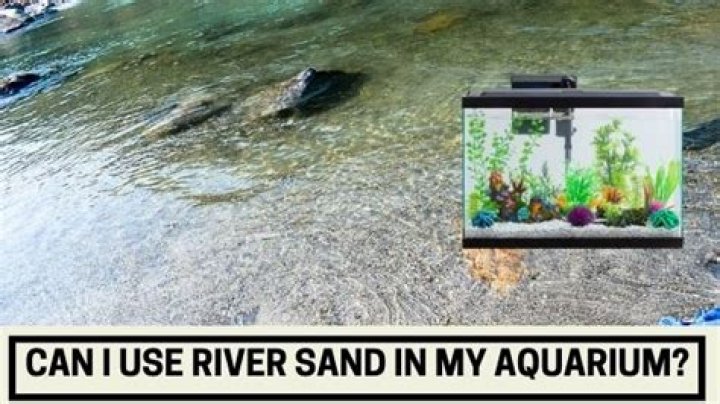 Can I use river sand in my aquarium?