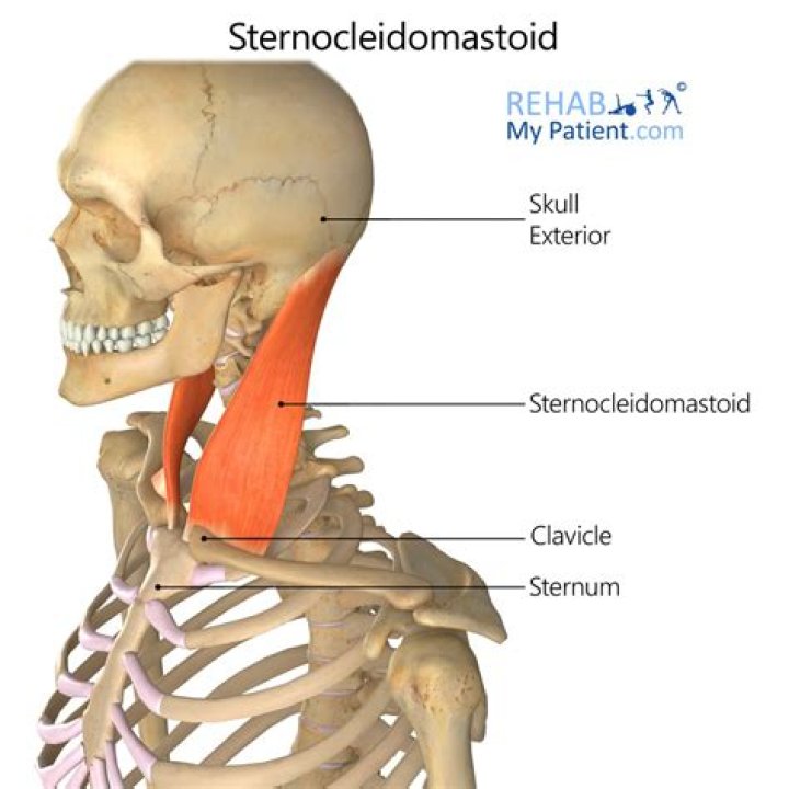 Can I use Sterno for fondue?