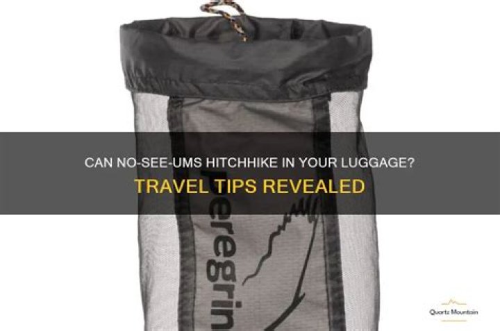 Can no see ums travel in luggage?