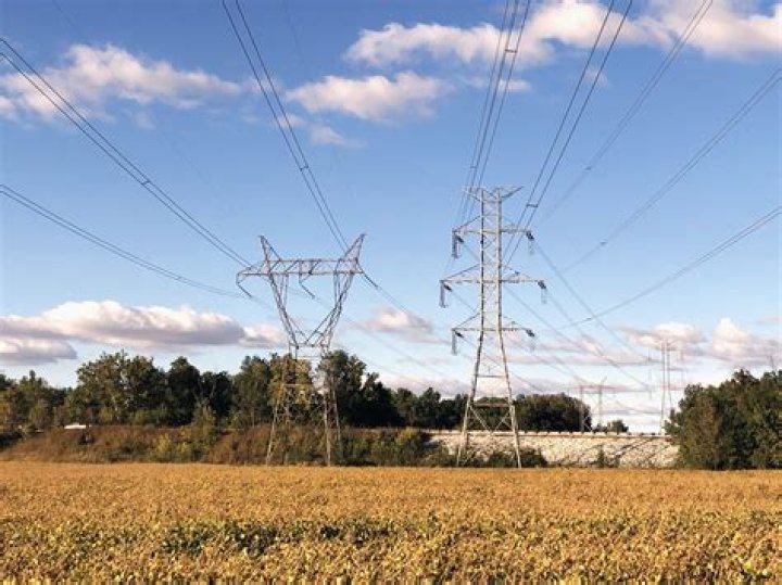 Can the power company cut my trees?