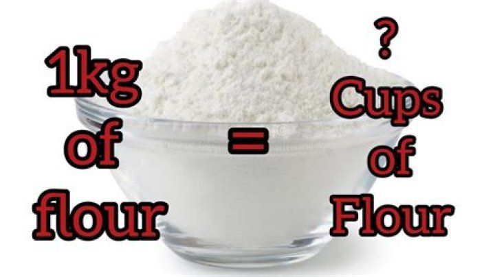 Can u lose 1kg a day?