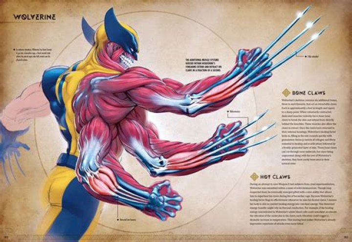 Can Wolverine regenerate limbs? | ContextResponse.com