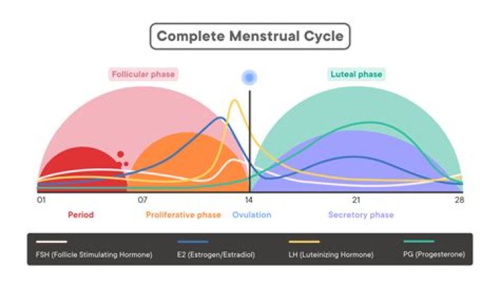 Can yeast infection affect menstrual cycle?