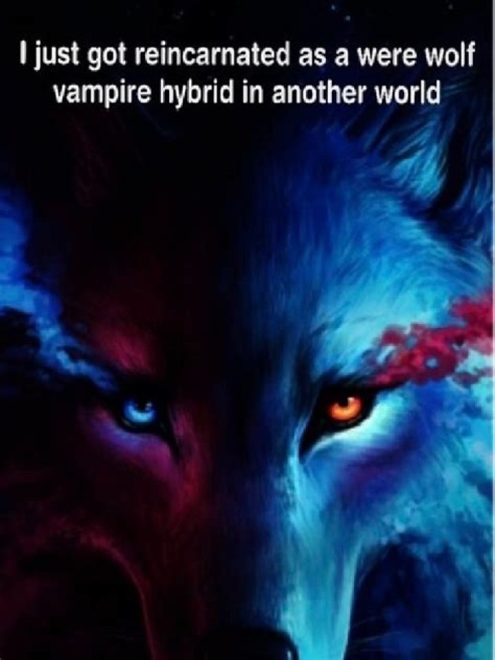 Can you become a vampire werewolf hybrid in Skyrim?