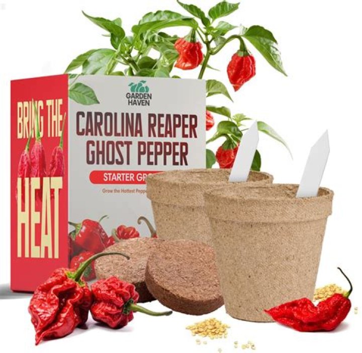 Can you buy ghost peppers at the grocery store?